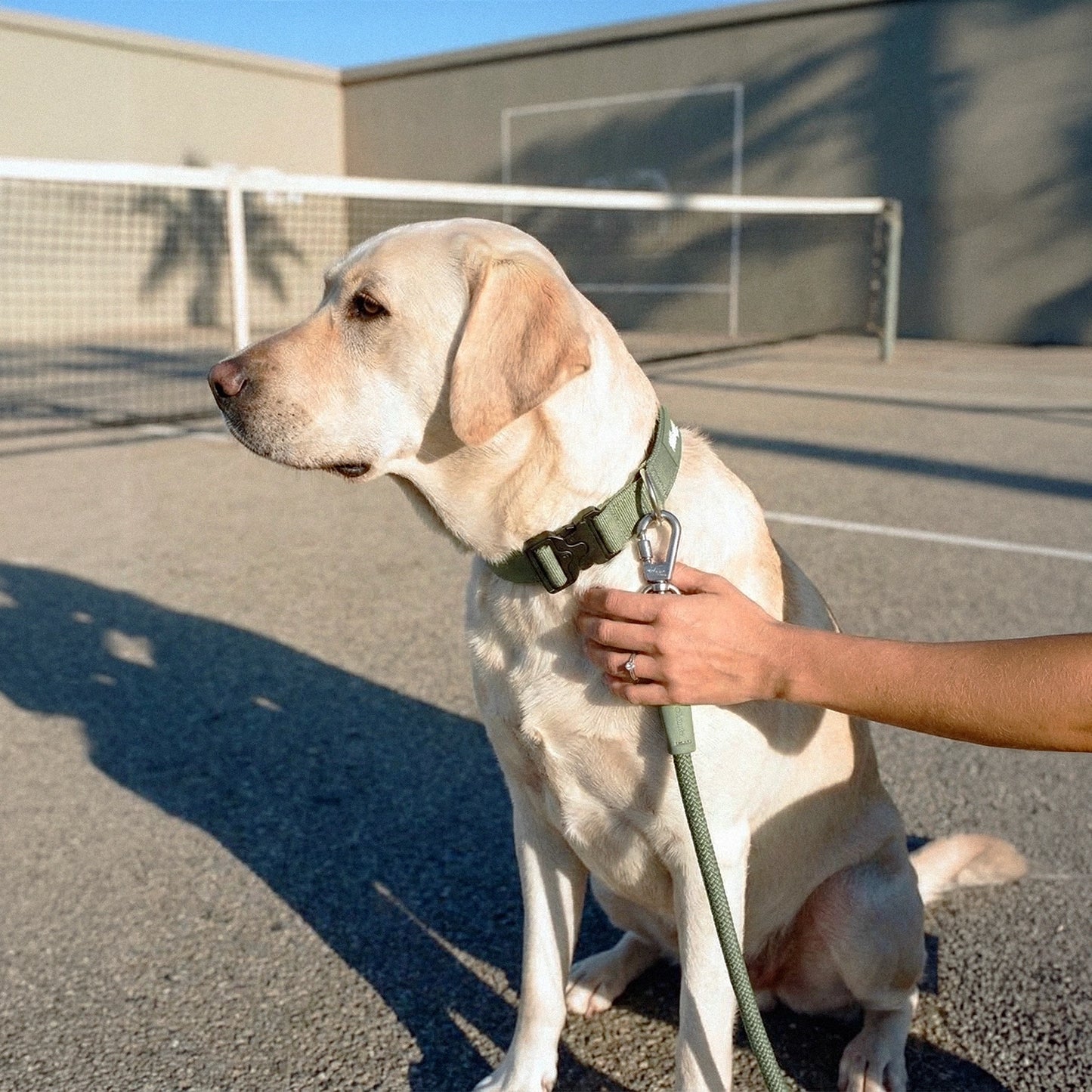Collar Walk Set - Khaki