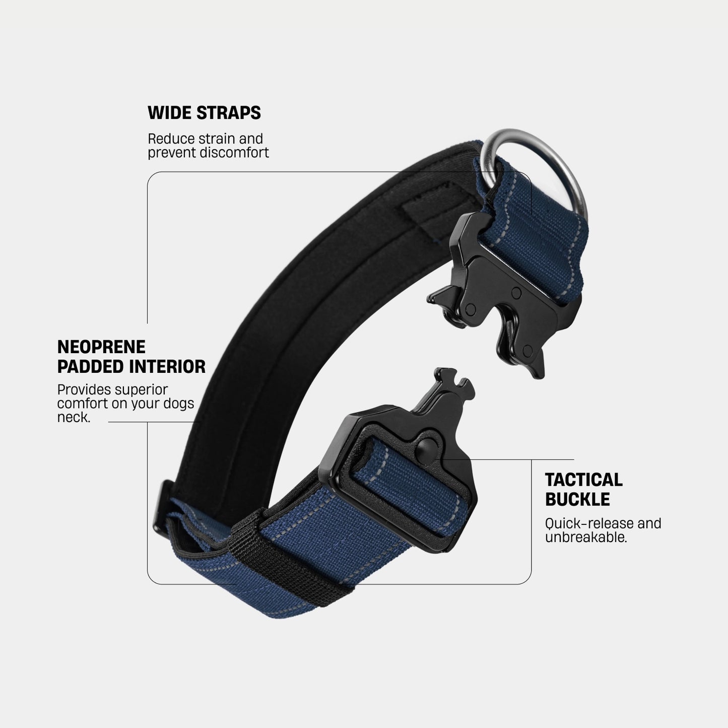 Collar Walk Set - Navy Blue