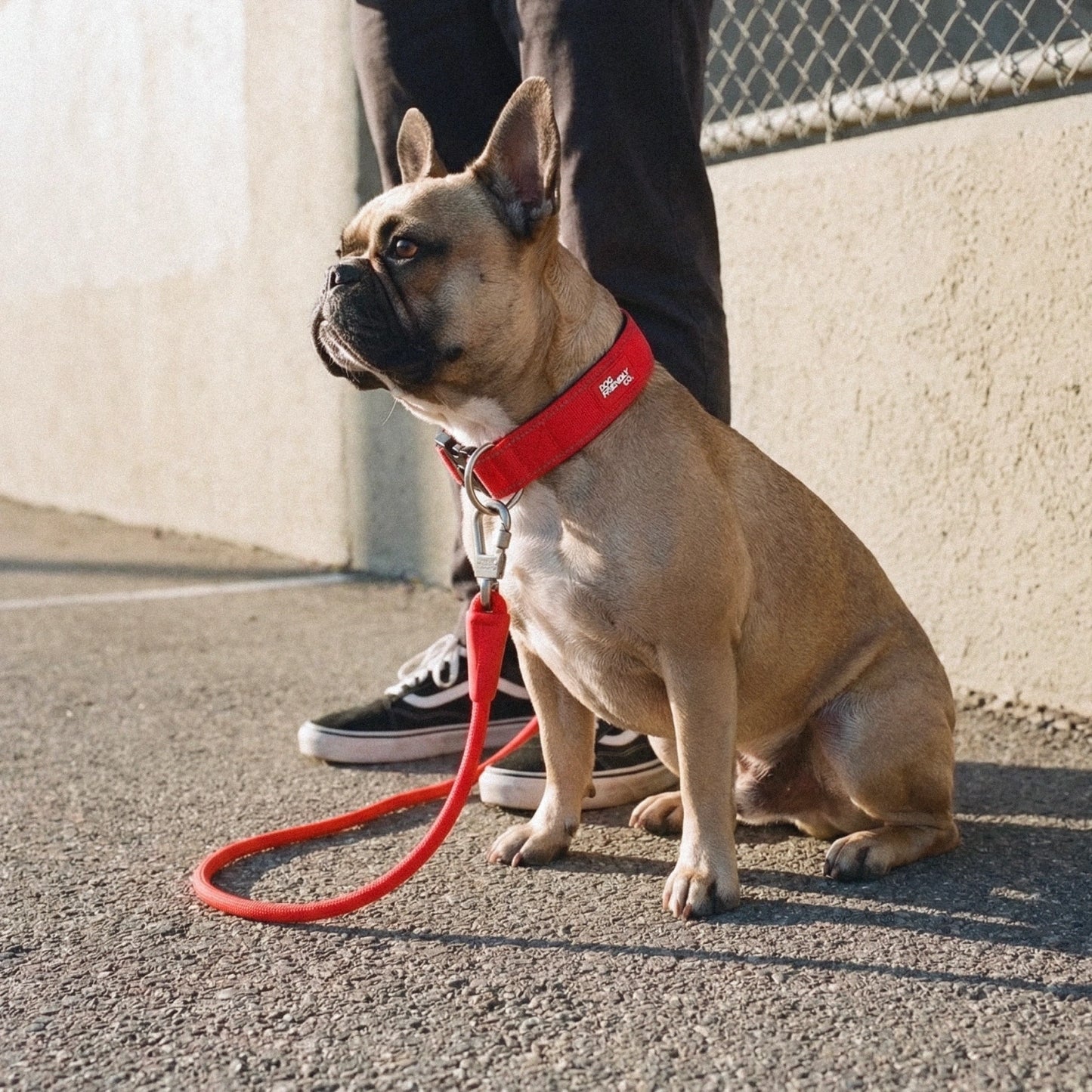 Collar Walk Set - Red