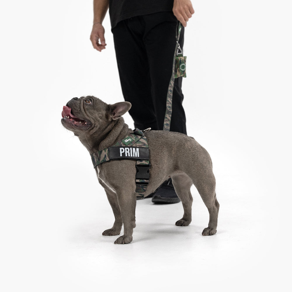 Signature Kit - Green Camo