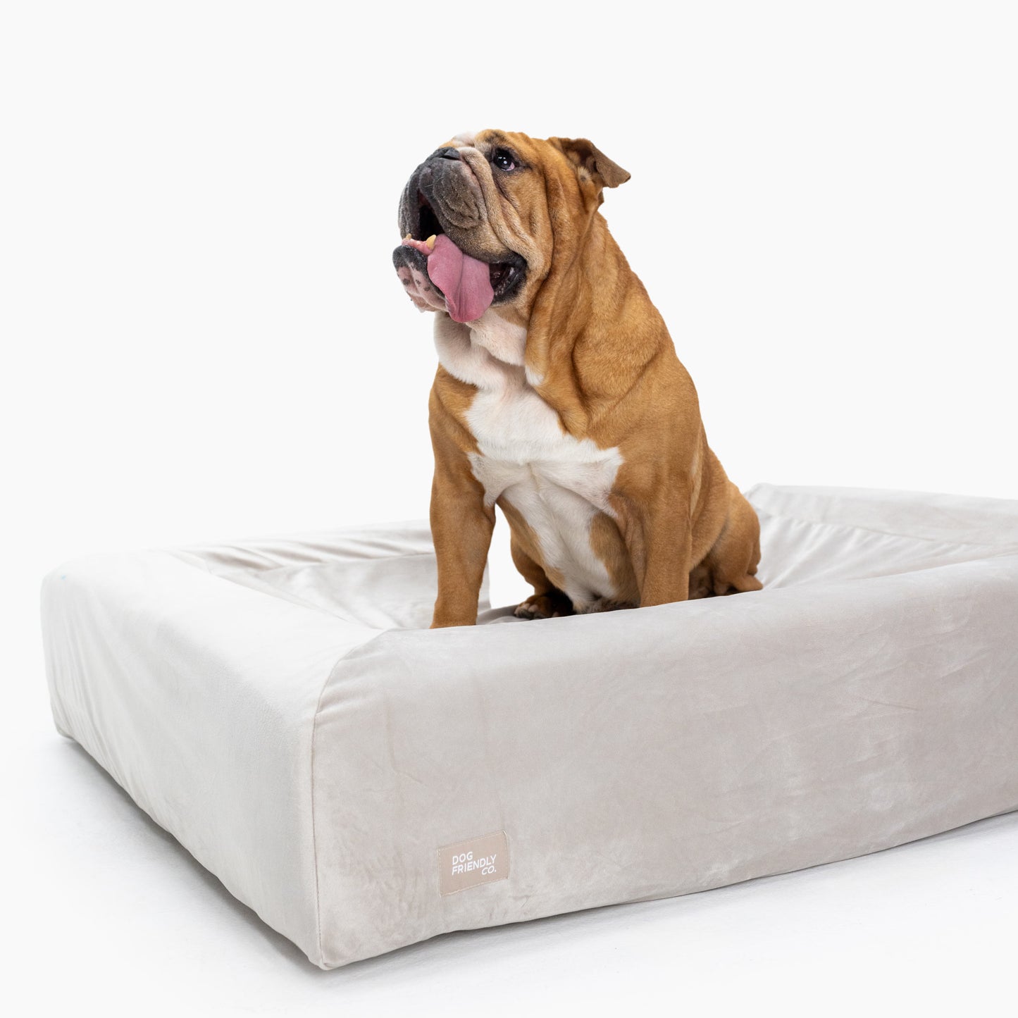 Velvet Easy Fit Dog Bed Cover (Free)