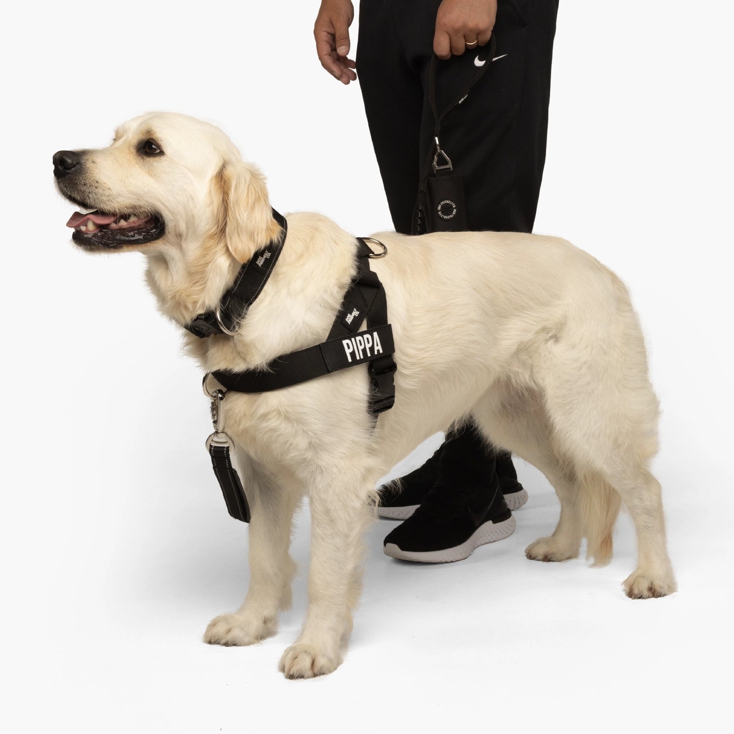 Dog Lovers Pack - Black