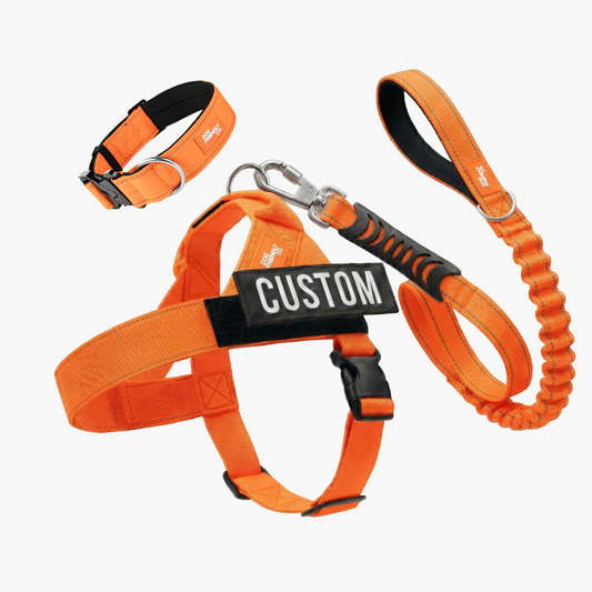 Dog Lovers Pack - Hi-Vis Orange