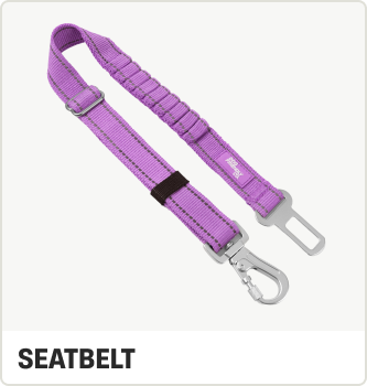 SEATBELT