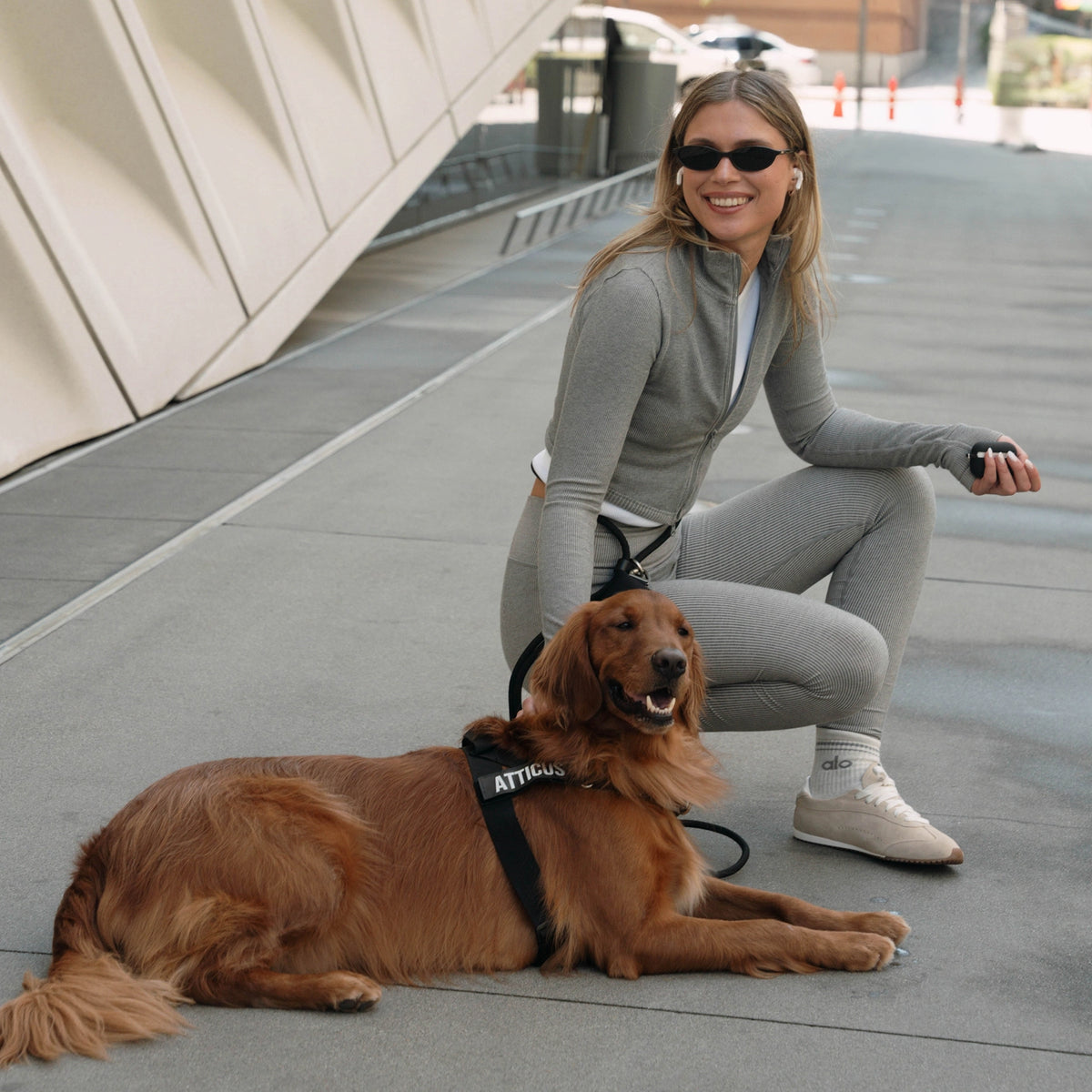 Hands Free Leash - Black
