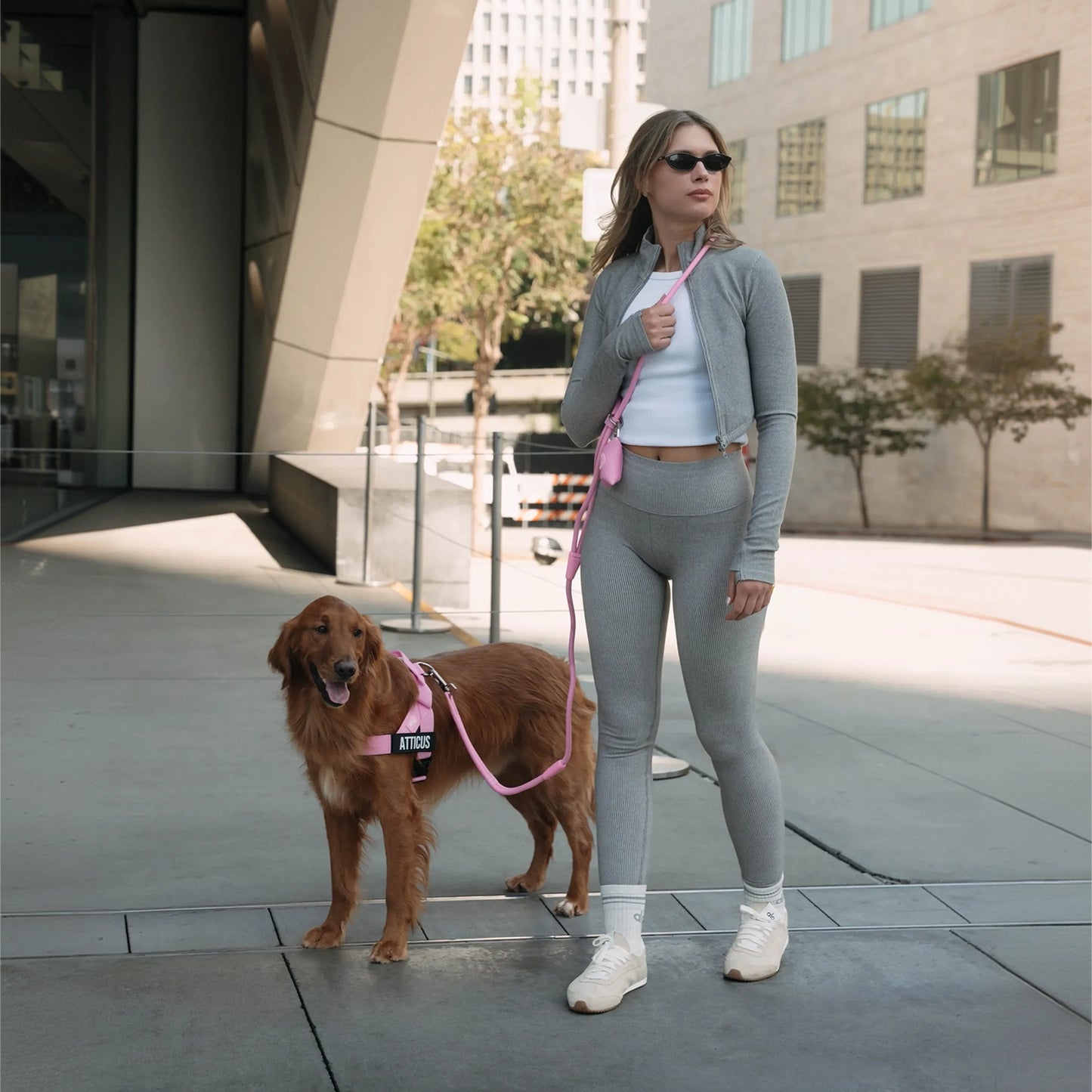 Hands Free Leash - Pink