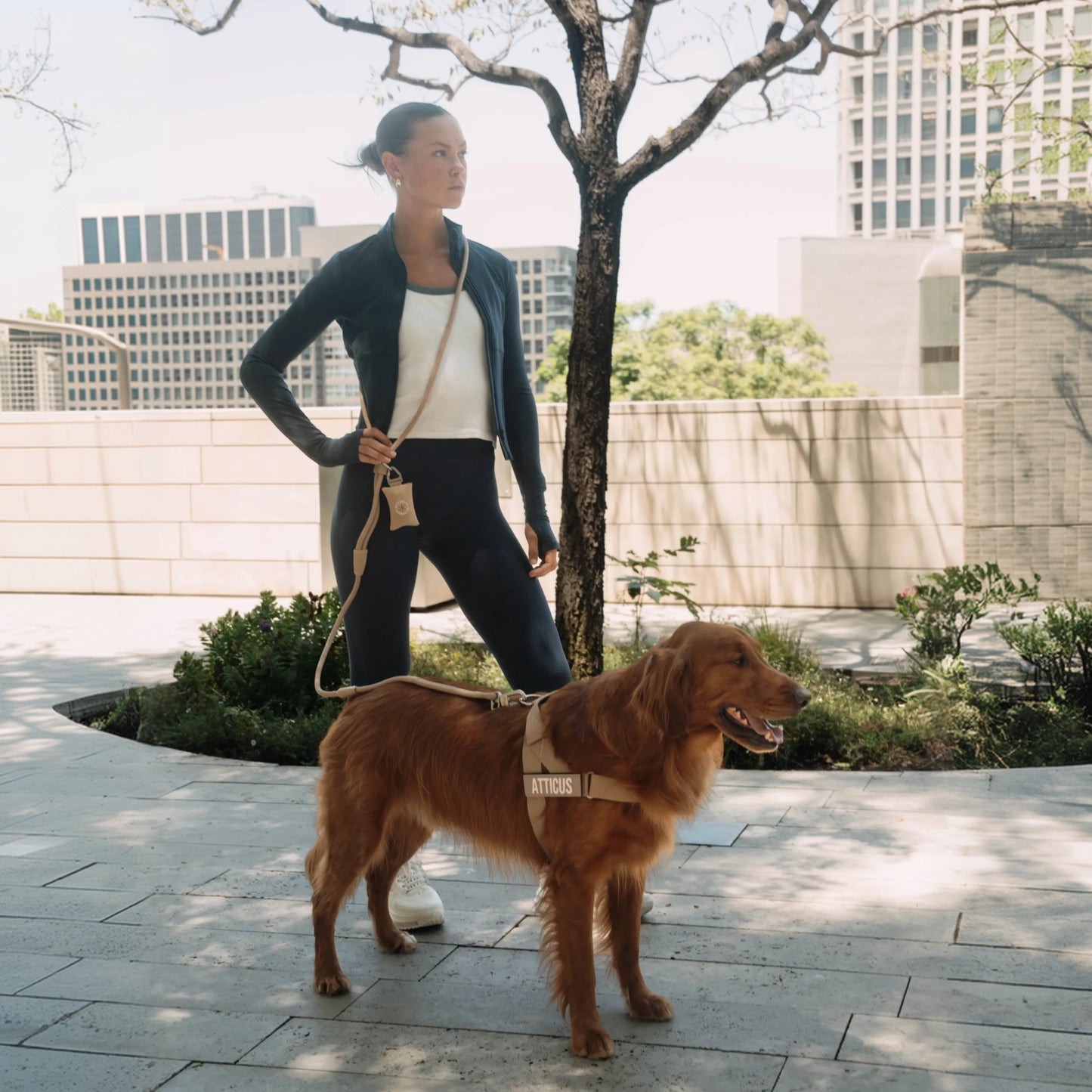 Hands Free Leash - Brown