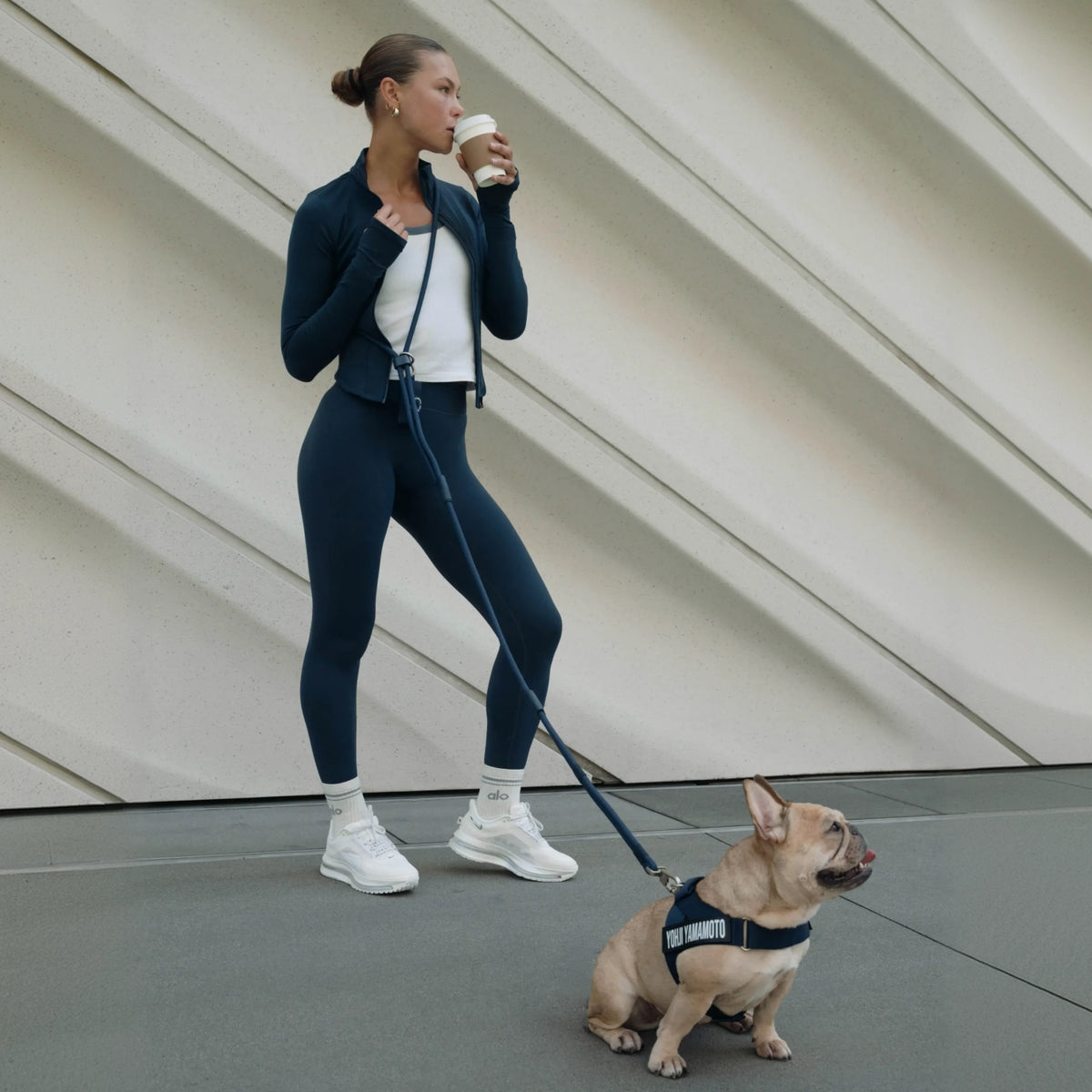 Hands Free Leash - Navy Blue
