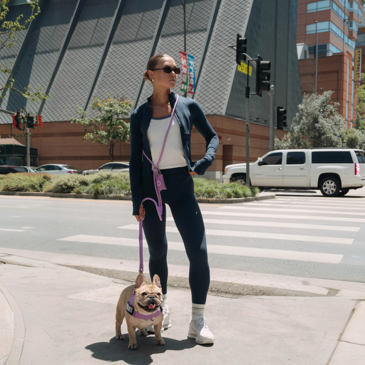 Hands Free Leash - Purple