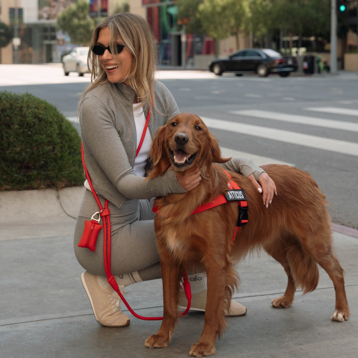 Hands Free Leash - Red