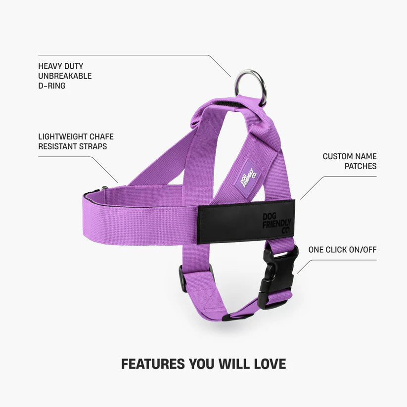 Dog Harness + FREE D-ring