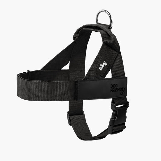 Personalised Dog Harness