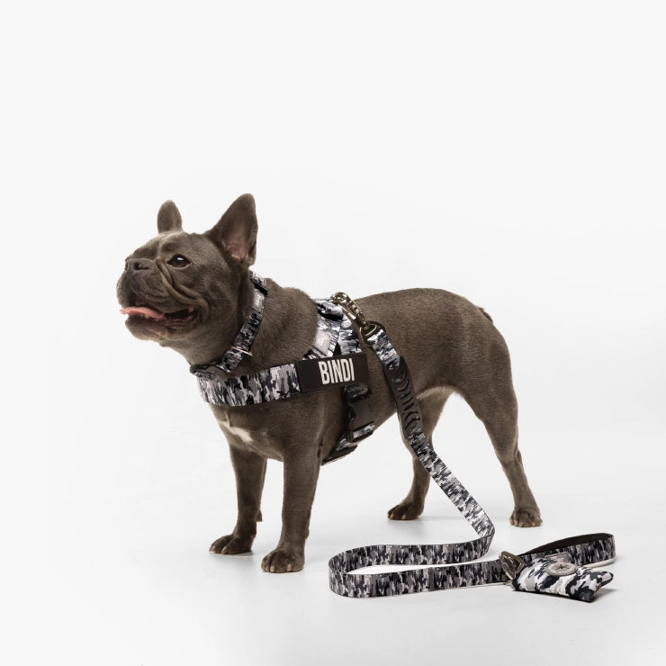 Personalised Dog Harness - Grey Camo