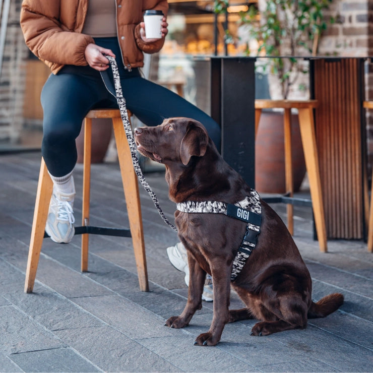 Personalised Dog Harness - Grey Camo