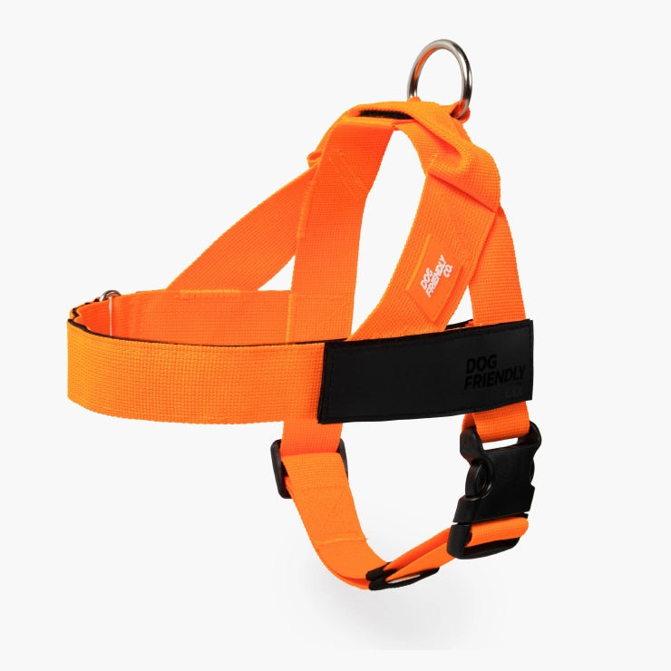 Personalised Dog Harness - Orange