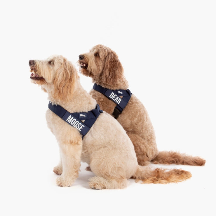 Personalised Dog Harness - Navy Blue