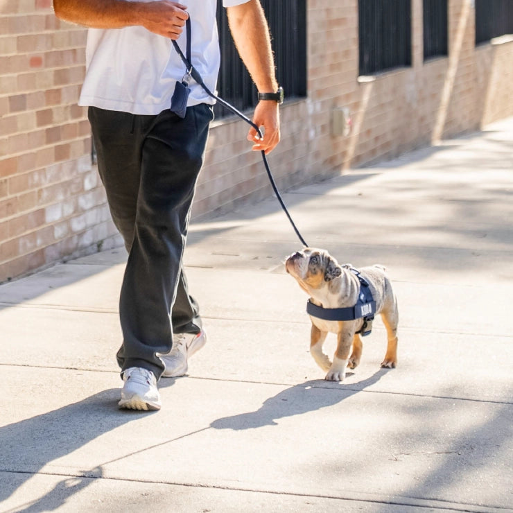 Personalised Dog Harness - Navy Blue