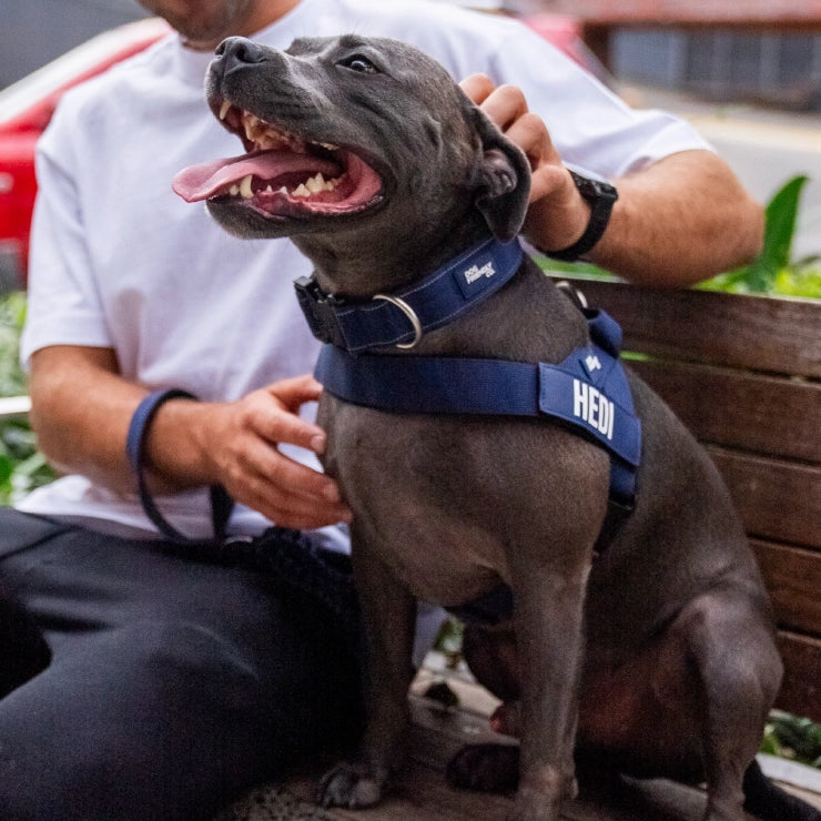 Personalised Dog Harness - Navy Blue