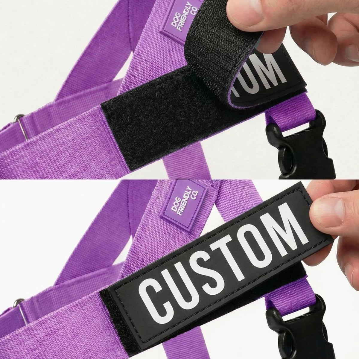 Personalised Dog Harness
