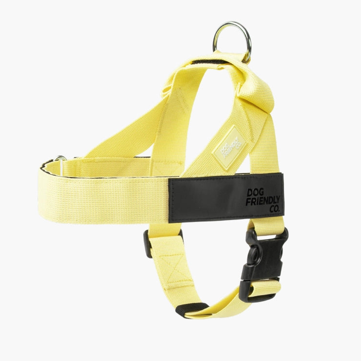 Personalised Dog Harness - Yellow