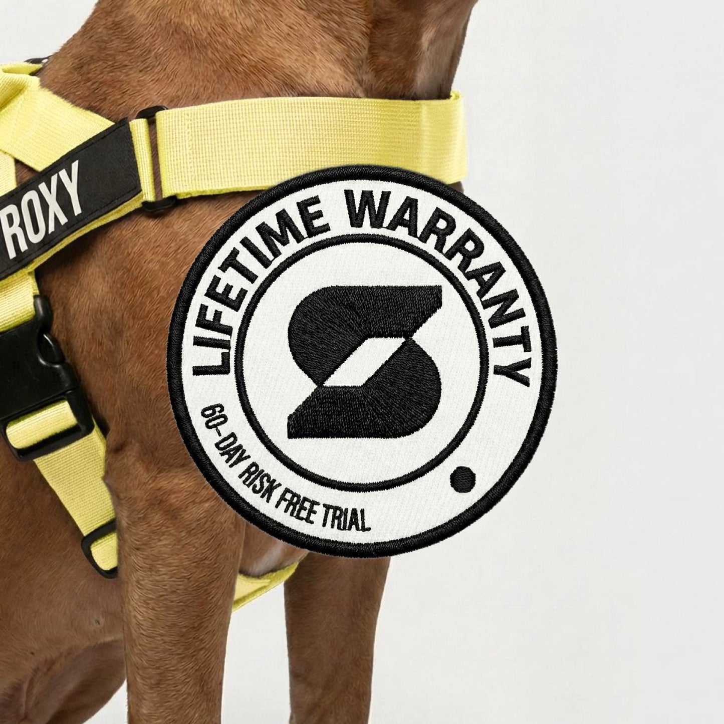 Personalised Dog Harness - Yellow