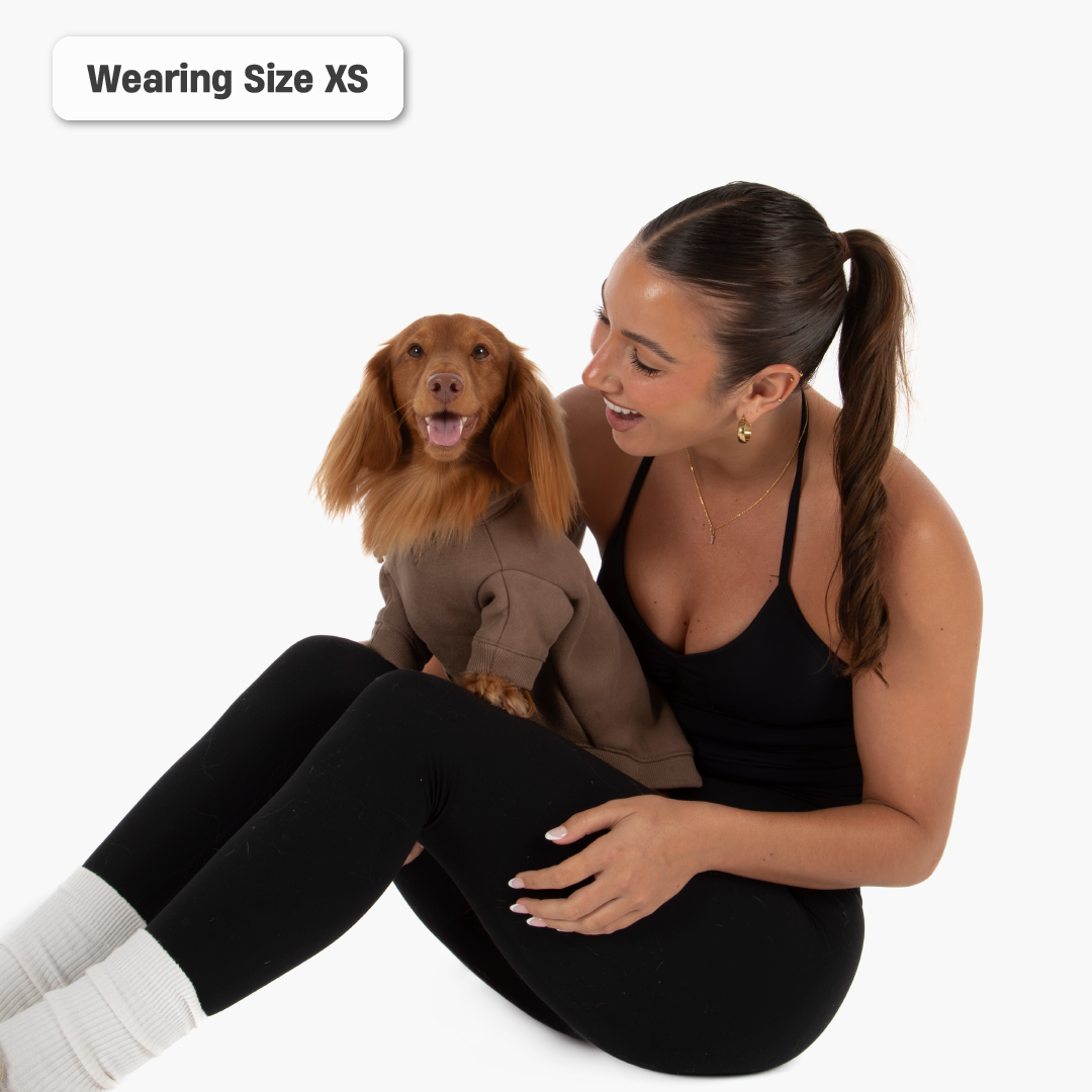 Winter Dog Hoodies - Brown