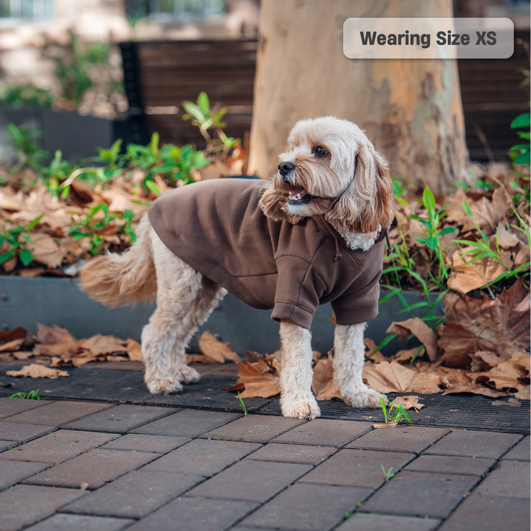 Winter Dog Hoodies - Brown