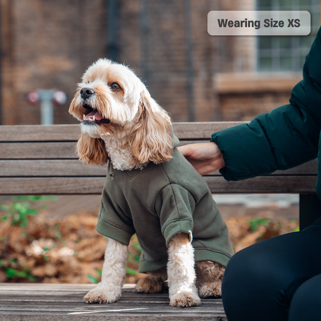 Winter Dog Hoodies - Khaki