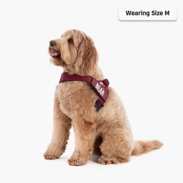 Dog Harness + FREE D-ring