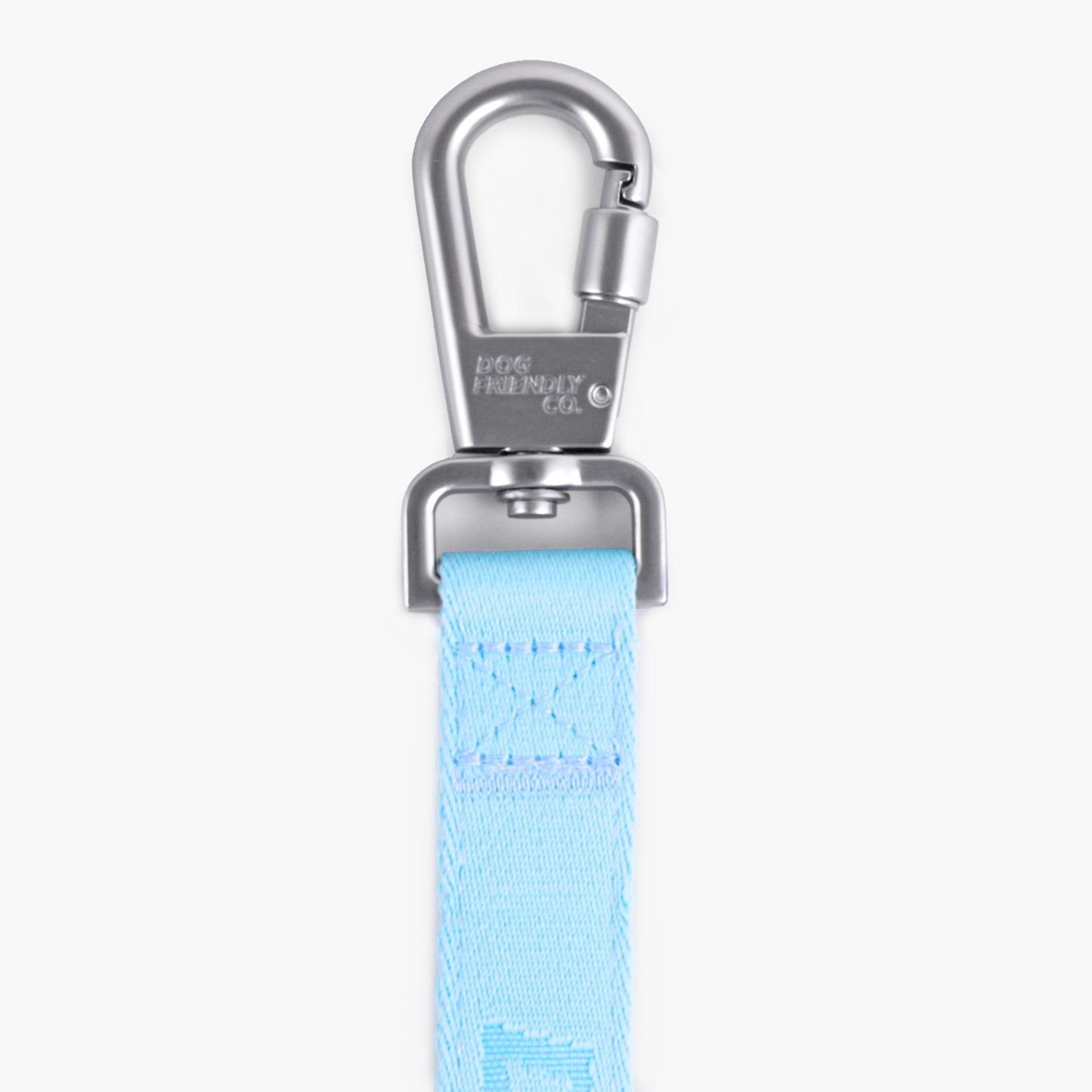 Long Dog Leash - Sky Blue