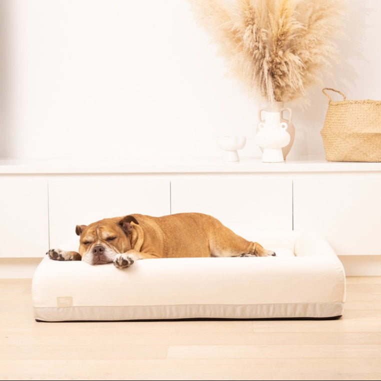 Replacement Cover - Beige