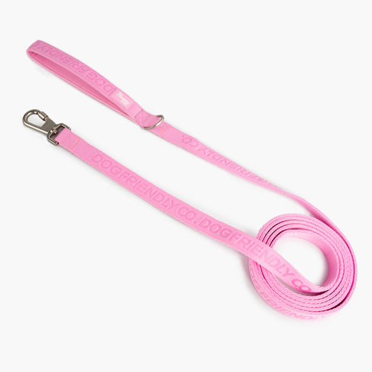 Long Dog Leash - Pink