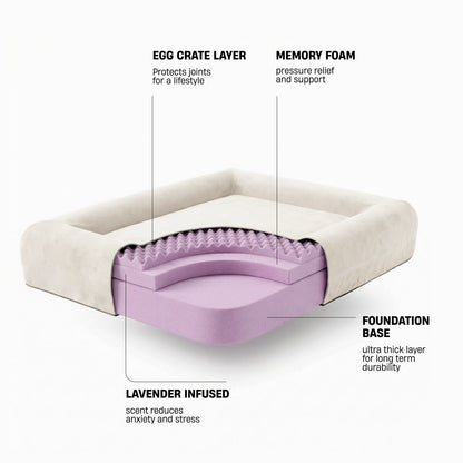 Premium Orthopedic Memory Foam Dog Bed - Beige (Small) (LP)