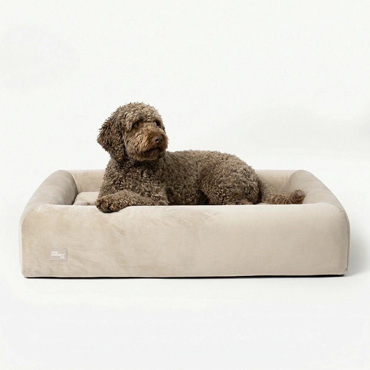 Premium Orthopedic Memory Foam Dog Bed - Beige (Medium)