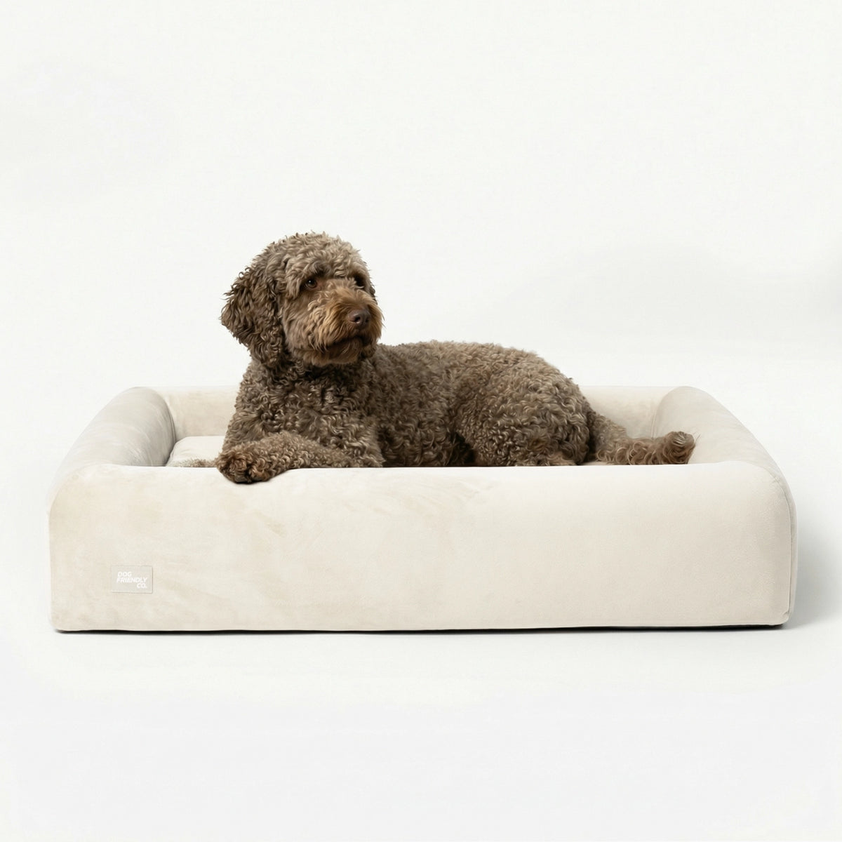 Orthopedic Dog Bed