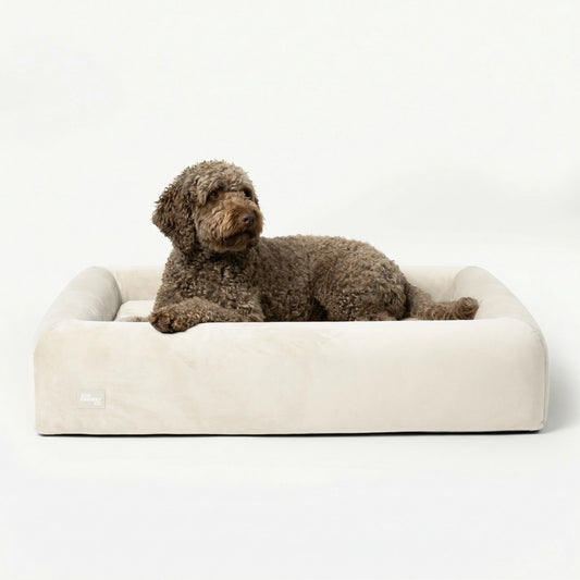 Premium Orthopedic Memory Foam Dog Bed - Beige