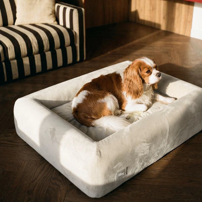 Premium Orthopedic Memory Foam Dog Bed - Beige (Small) (LP)