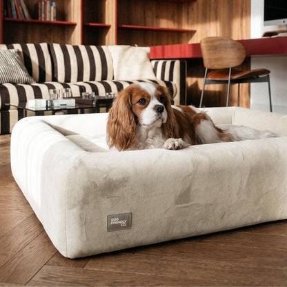 Premium Orthopedic Memory Foam Dog Bed - Beige (Small) (LP)