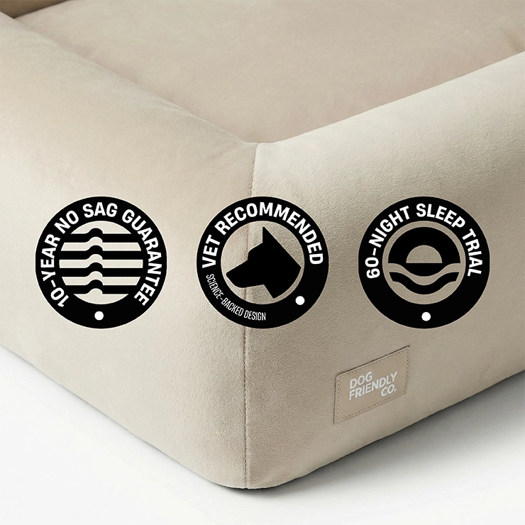 Premium Orthopedic Memory Foam Dog Bed - Beige (Large)