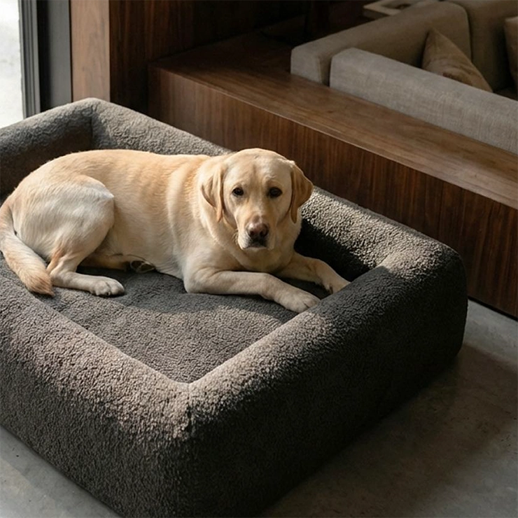 Premium Orthopedic Memory Foam Dog Bed - Brown Bouclé (Medium)