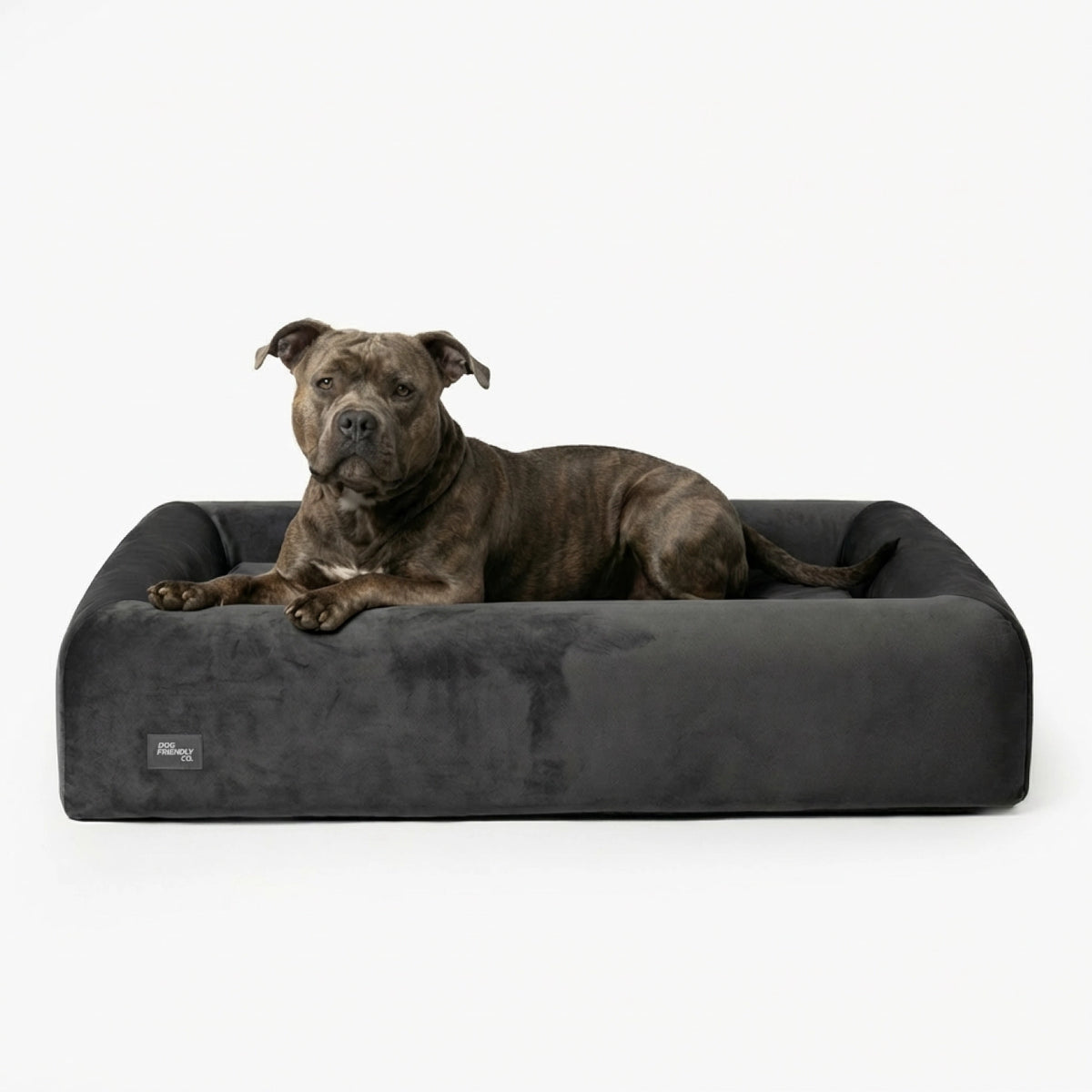 Calming Dog Beds