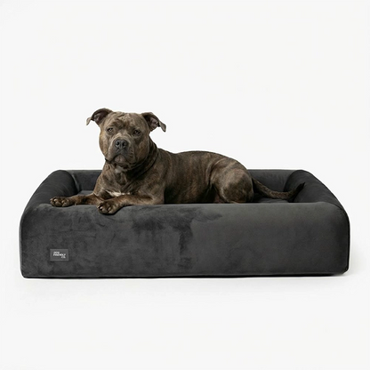 Premium Orthopedic Memory Foam Dog Bed - Charcoal (Large) (LP)