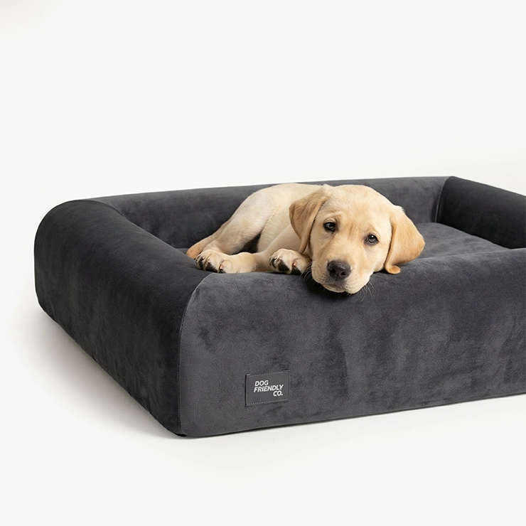 Premium Orthopedic Memory Foam Dog Bed - Charcoal (Small)