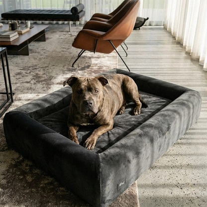 Premium Orthopedic Memory Foam Dog Bed - Charcoal (Large) (LP)