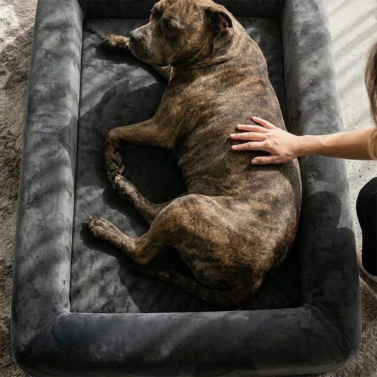 Premium Orthopedic Memory Foam Dog Bed - Charcoal (Medium)