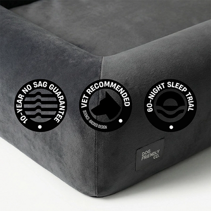 Premium Orthopedic Memory Foam Dog Bed - Charcoal (Small) (LP)