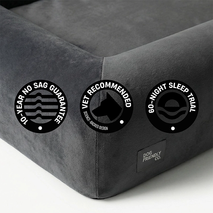 Premium Orthopedic Memory Foam Dog Bed - Charcoal (Large) (LP)