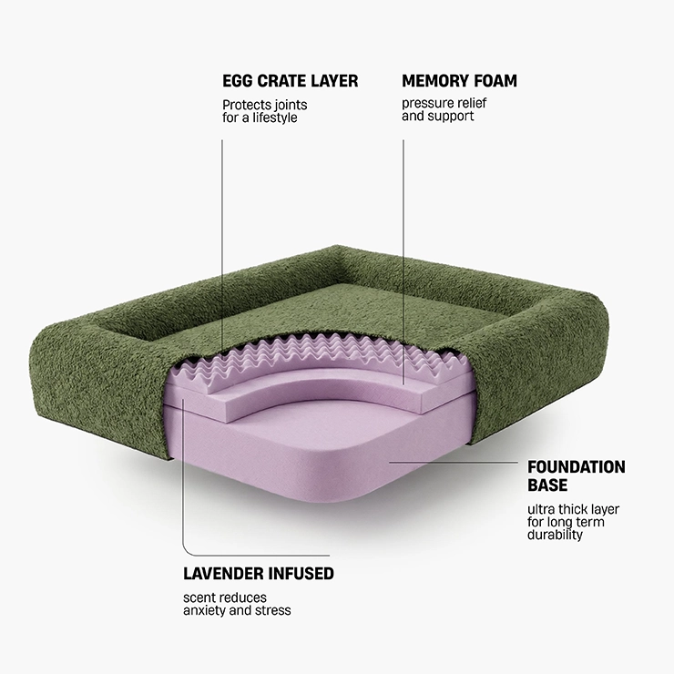 Premium Orthopedic Memory Foam Dog Bed - Green Bouclé (Medium)