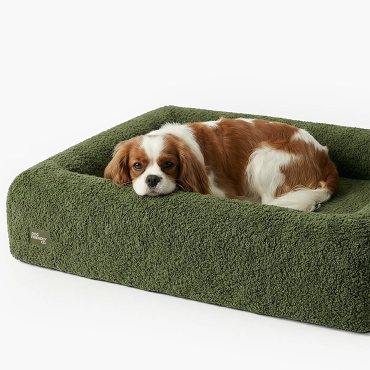 Premium Orthopedic Memory Foam Dog Bed - Green Bouclé (Large)