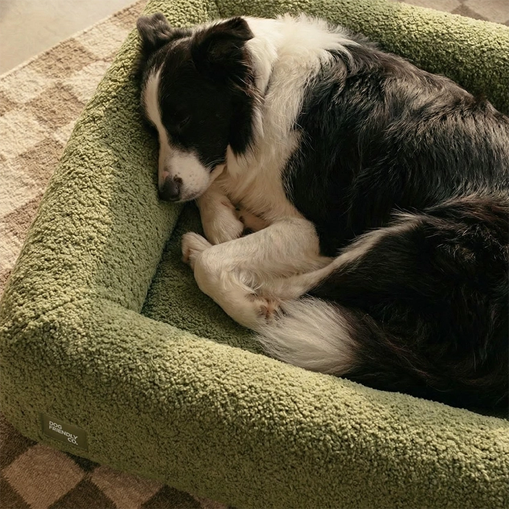 Premium Orthopedic Memory Foam Dog Bed - Green Bouclé (Small)
